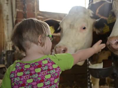 enfant handicap vacances ferme vaches accueil
