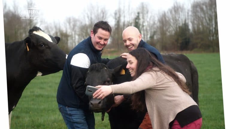 Selfie vache GAEC GABIOVAL Gîtes et Ferme Pédagogique à Derval 44 La Garlais