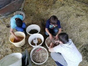 Enfants jeux des graines ferme pédagogique en Loire-Atlantique